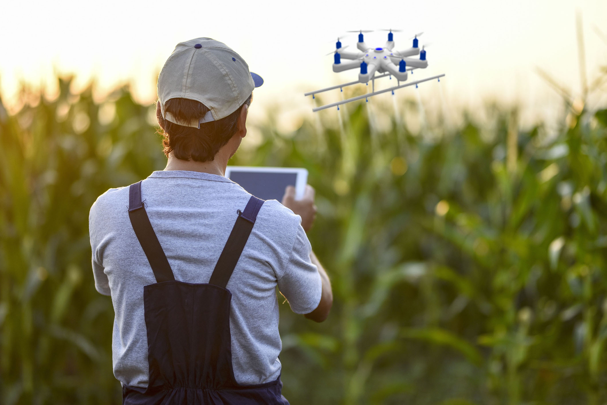 Farmer spraying his crops using a drone